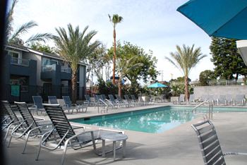 Swimming pool and lounge